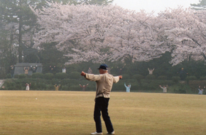 �Ï�����@�{�ۍL��