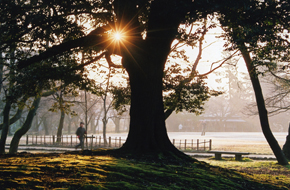 �Ï�����@���|��